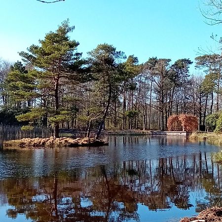B&B Stripsein Wijnjewoude Exteriör bild